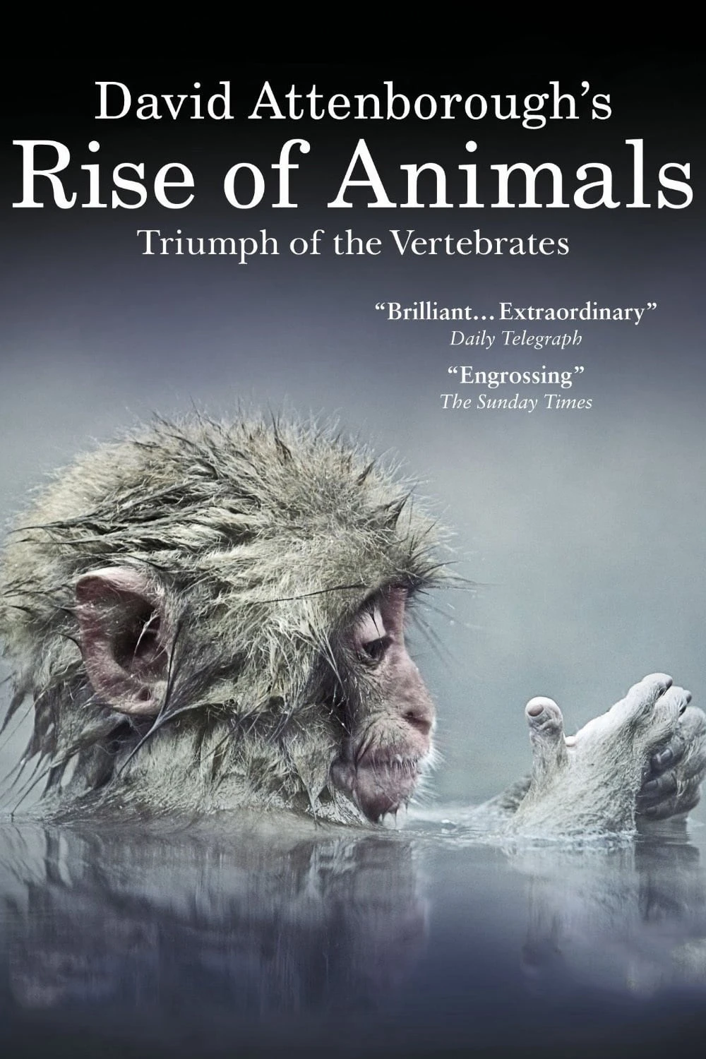 Phim David Attenborough's Rise of Animals: Triumph of the Vertebrates - David Attenborough's Rise of Animals: Triumph of the Vertebrates (2013)