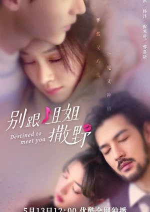 Phim Đừng Nhờn Với Chị - Destined to Meet You (2022)