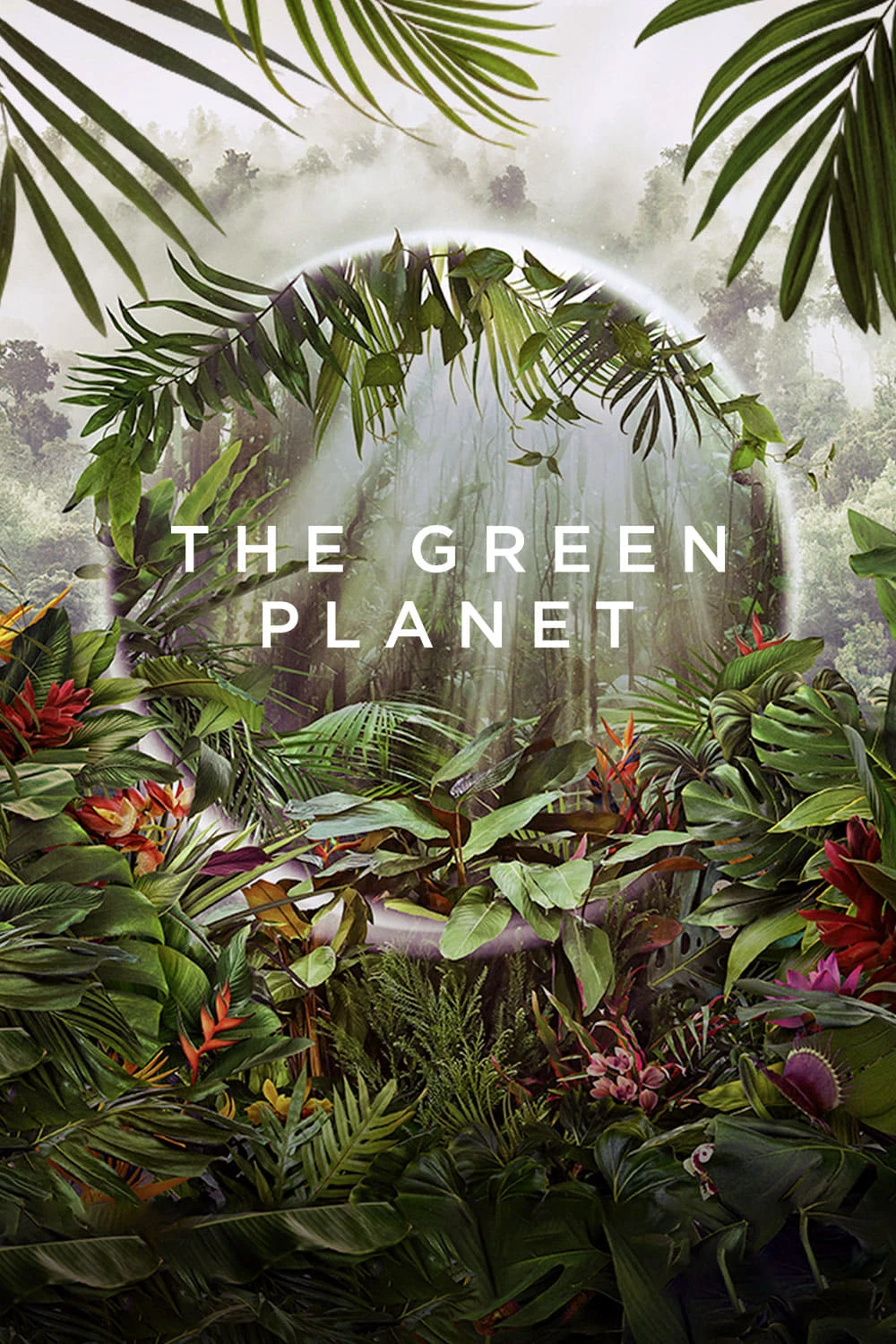 Phim Hành Tinh Xanh - The Green Planet (2022)