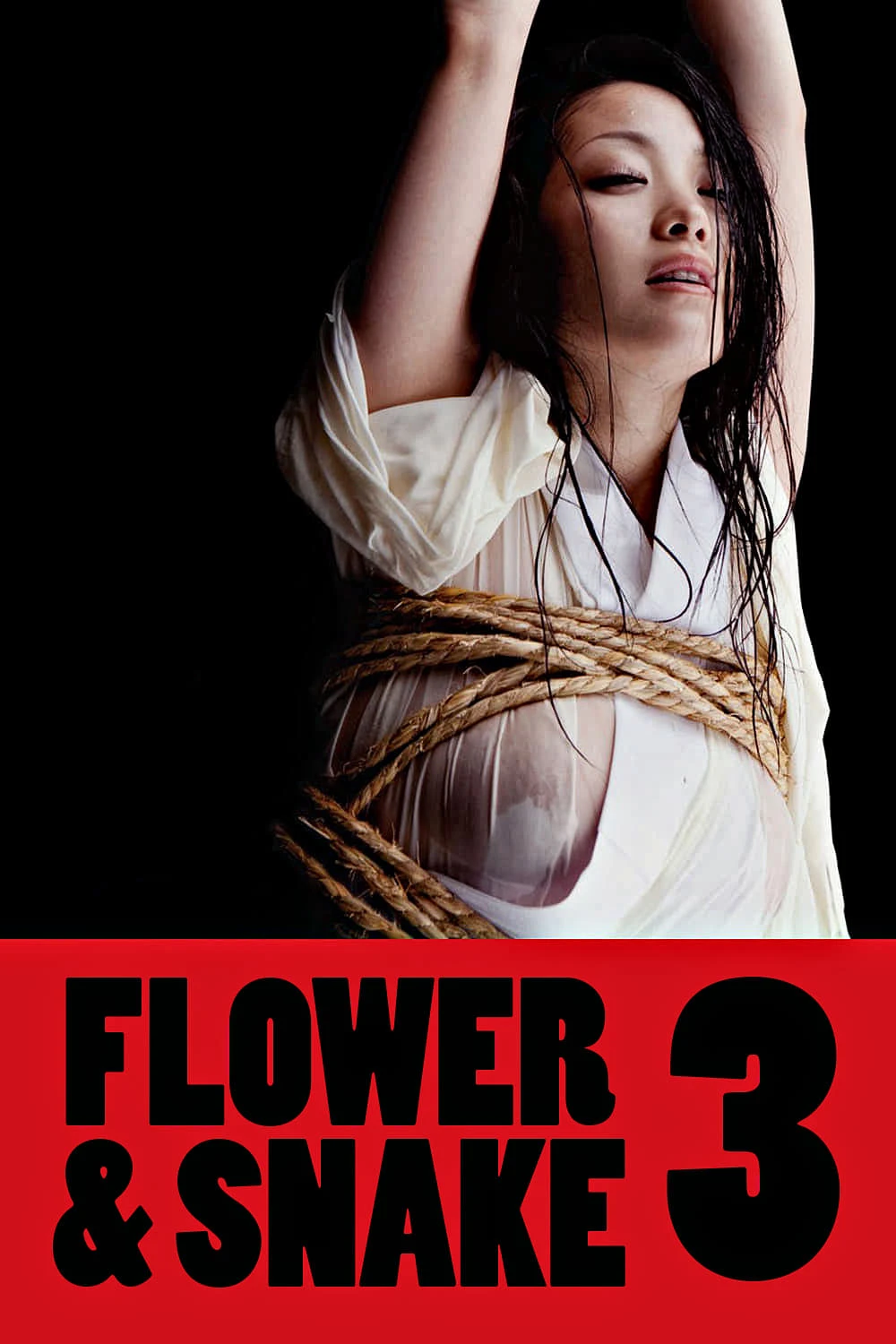 Phim Hoa Và Rắn 3  - Flower & Snake 3 (2010)