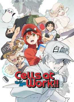 Phim Khi Các Tế Bào Làm Việc (Phần 2) - Cells at Work! S2 (2021)