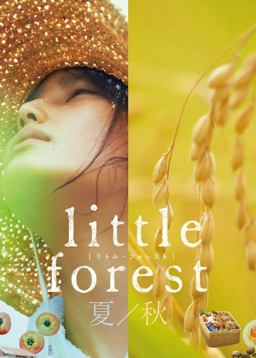 Phim Little Forest: Summer/Autumn - Little Forest: Summer/Autumn (2014)