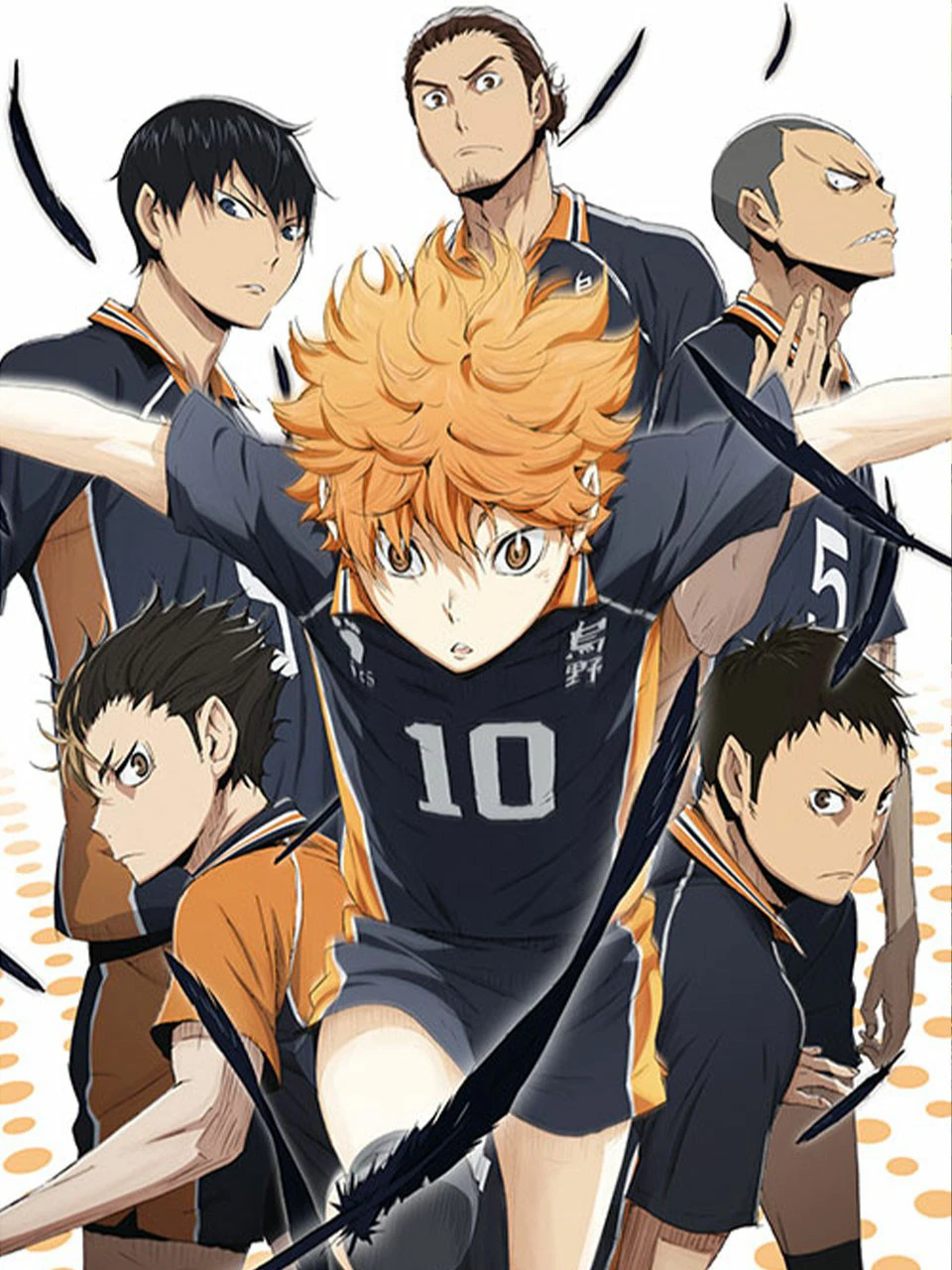 Phim Thiếu niên bóng chuyền - Haikyu!! (2014)